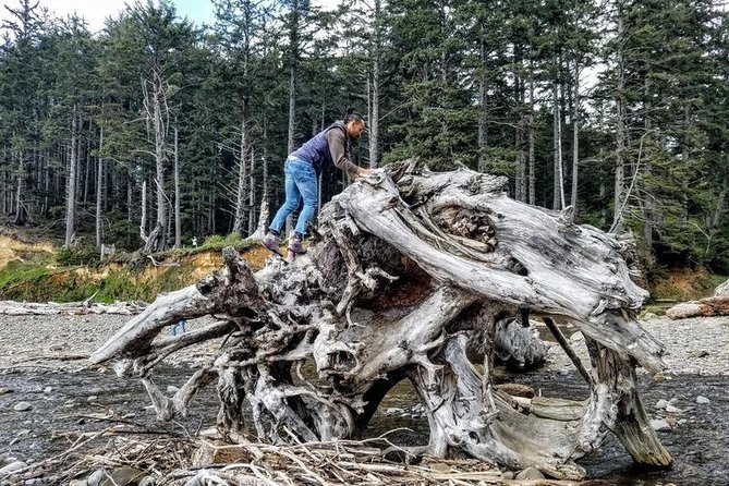Oregon Coast Tour and Wine Tasting From Portland- Full Day Tour - Transportation Options