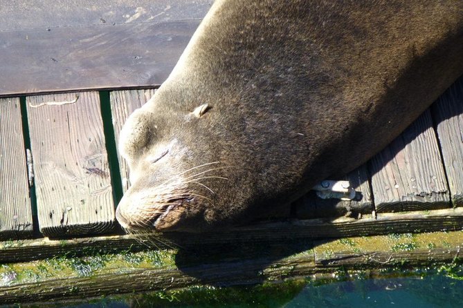 Oregon Coastal Tour: Florence to Yachats - Tour Details and Requirements