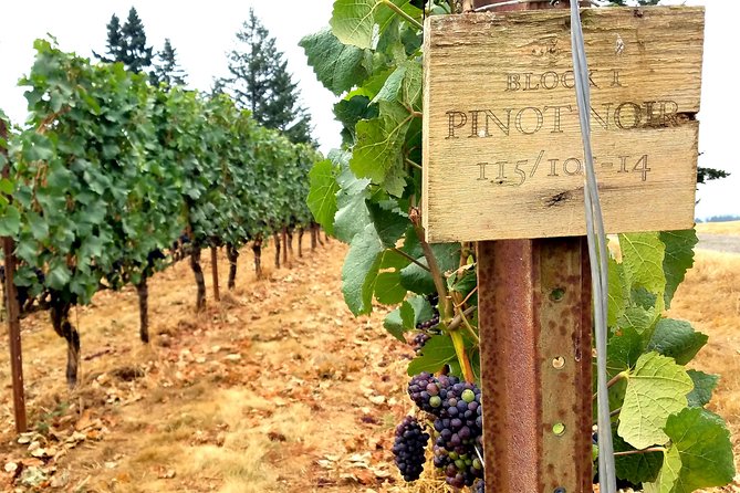 Oregon Wine Tour-Full Day Tour With Lunch Stop - Inclusions and Exclusions