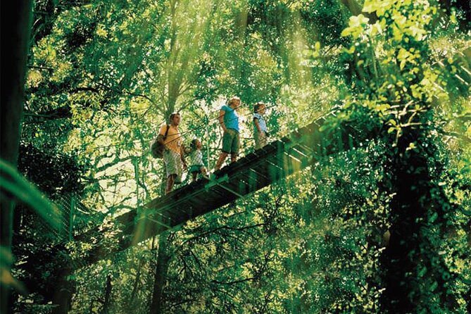 Oreillys & Lamington National Park From Gold Coast - Travel Details