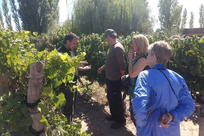 Organic & Bio – Sustainable Wineries - Inclusions
