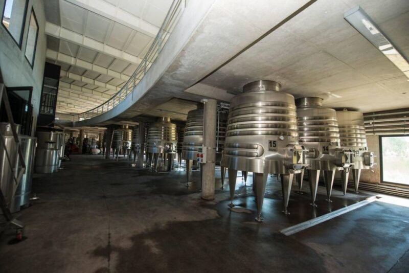 Organic, Biodynamic, and Experimental Adventure in Mendoza - Key Points