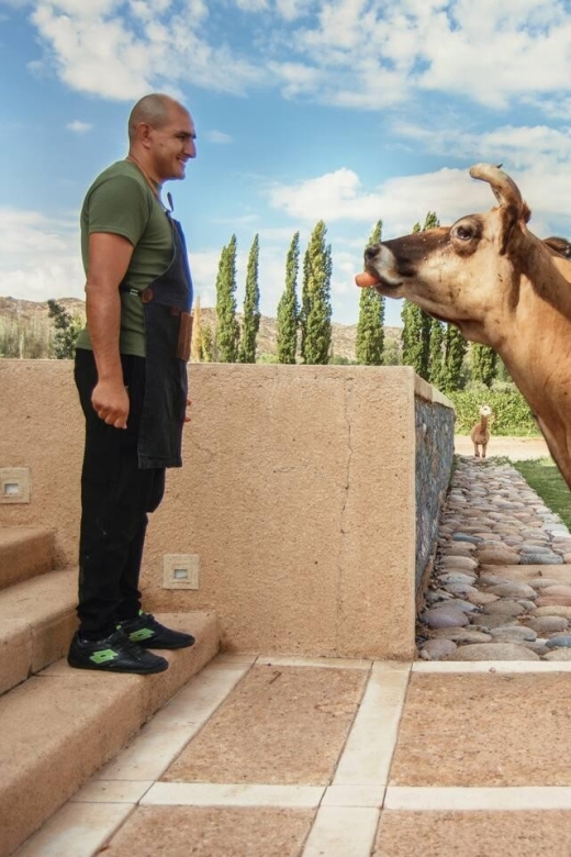 Organic, Biodynamic, and Experimental Adventure in Mendoza - Krontiras: Capturing Terroir Essence