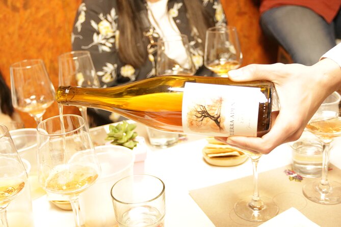 Organic, Biodynamic and Natural Wine Tasting Class - Tasting Notes and Flavor Profiles