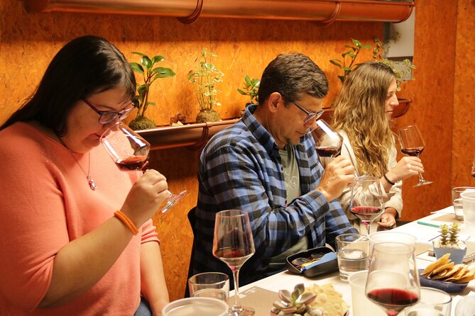 Organic, Biodynamic and Natural Wine Tasting Class - Food Pairing Suggestions