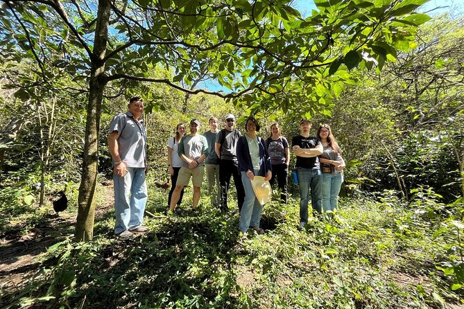 Organic Coffee Farm Tour - Key Points