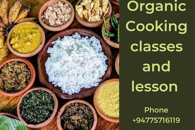 Organic Cooking Class and Lesson - Assisting in Meal Preparation