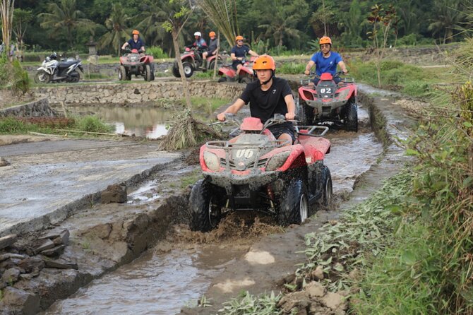 Organic Farm Cooking Class in Ubud With Bali Swing - Bali Swing or ATV Quad Bike