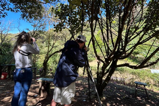Organic Farming Volunteering Program Finca El Secreto - Organic Farming Practices