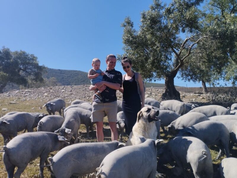 Organic Iberian Pig Farm Experience, Food&Ecofriendly - Personalized Walk Through Pasture