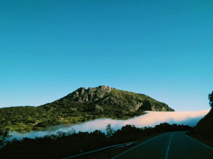 Organic Iberian Pig Farm Experience, Food&Ecofriendly - Farm Visit and Organic Product Tasting