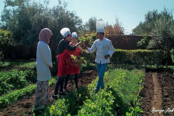 Organic Moroccan Cooking Class At Secret Berber Garden CT - Organic Farm Experience