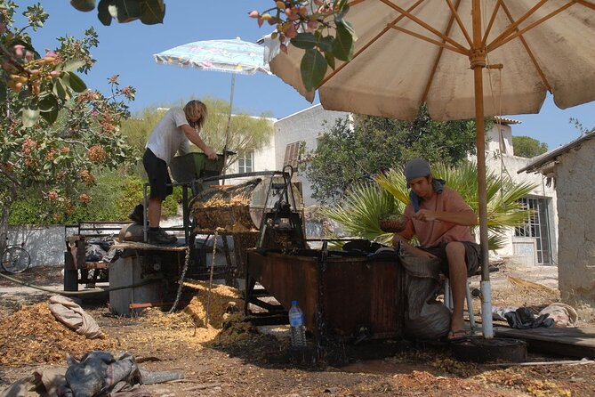 Organic Pistachio Orchard Tour - Tour Operator and Additional Details