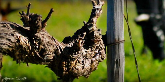 Organic Producers. Private Wine Tour With Winemaker - Frequently Asked Questions