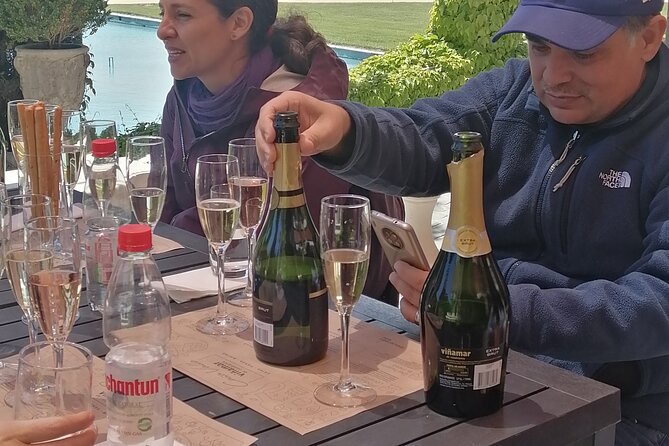 Organic Wine Tasting and Local Food Tour in Valparaiso, Full Day - Vineyard Experience