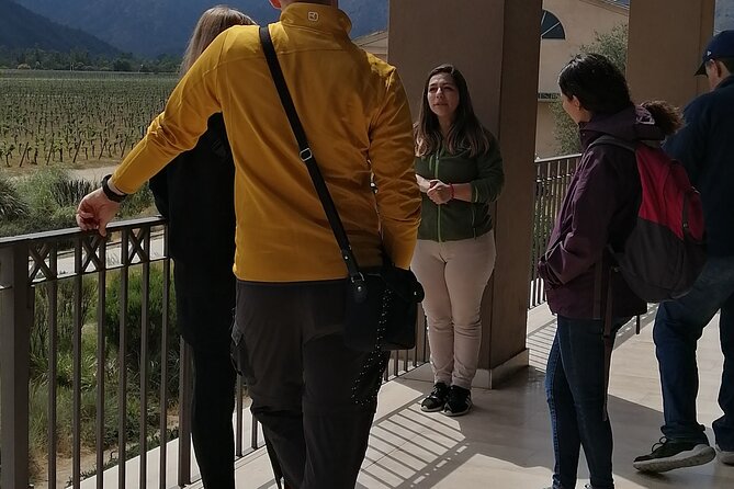 Organic Wine Tasting and Local Food Tour in Valparaiso, Full Day - Organic Wine Tasting