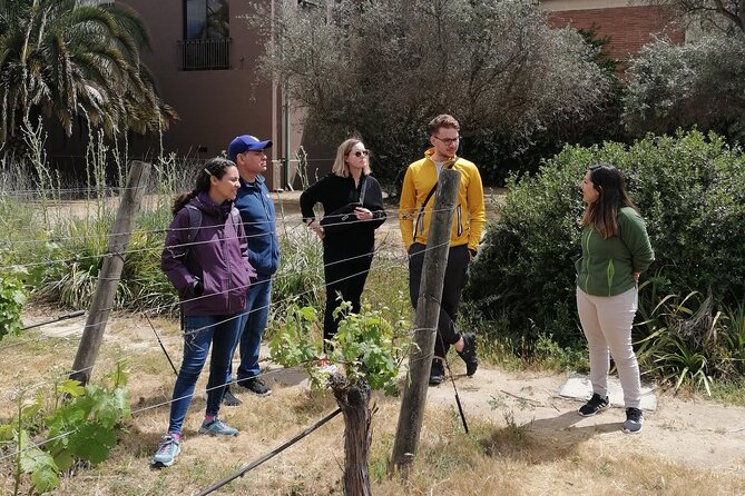 Organic Wine Tasting and Local Food Tour in Valparaiso, Full Day - Sightseeing in Valparaiso