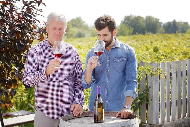 Organic Wine Tasting in Kefalonia - Grape Varieties and Wine Tasting