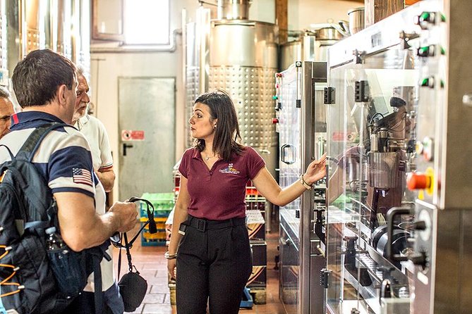Organic Wine Tasting & Lunch Experience on Mt Vesuvius - Accessibility and Dietary Accommodations