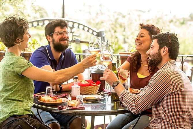 Organic Wine Tasting & Lunch on Vesuvius With Transfer From Naples - Overview of the Winery