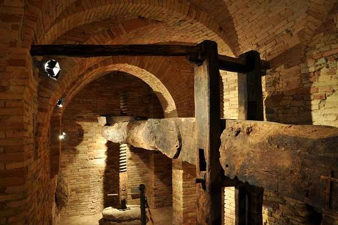 Organic Wine Tasting & Professional Tasting of Olive Oil in the OIL MUSEUM - Explore the Ancient Oil Mill