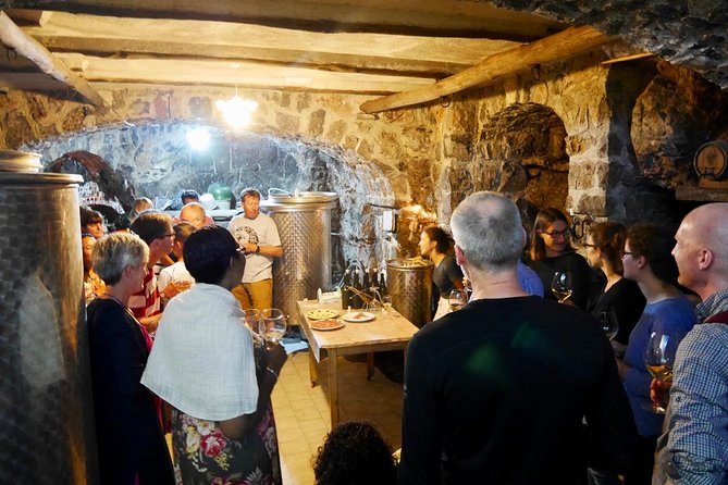 Organic Wine Tasting With Mozzarella and Gnocchi Workshop - Location and Accessibility