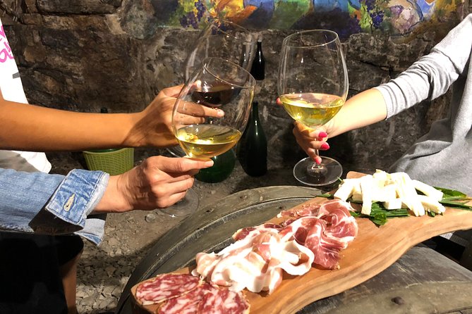 Organic Wine Tasting With Mozzarella and Gnocchi Workshop - Health and Dietary Requirements