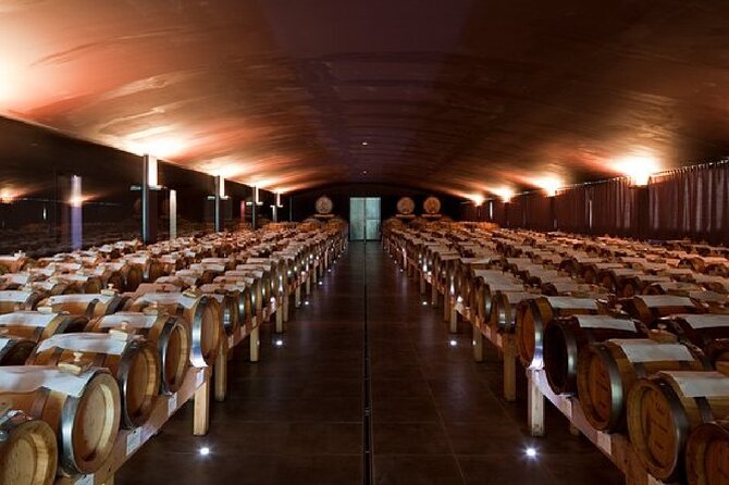 Organic Winery Tour and Balsamic Tasting in Modena - Meeting Point and Logistics