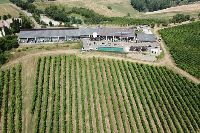 Organic Winery Tour and Balsamic Tasting in Modena - Reviews and Feedback