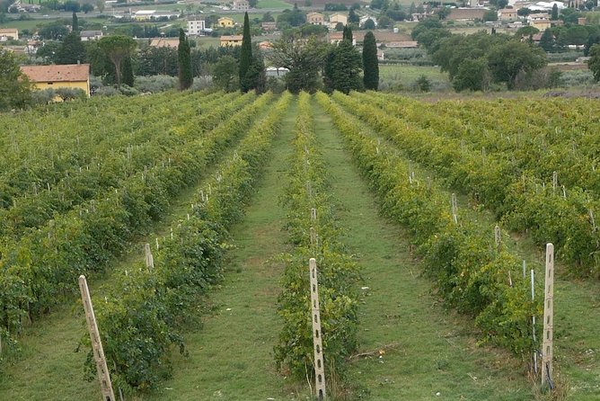 Organic Winery Tour With Full Lunch From Assisi - Accessibility and Requirements