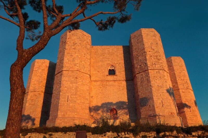 Organized Tour From Bari to Castel Del Monte - Meeting Point and Language