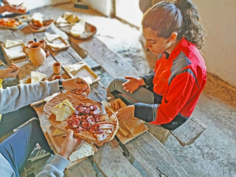 Orgosolo Experience: Murals and Culture With a Typical Lunch - Customer Reviews