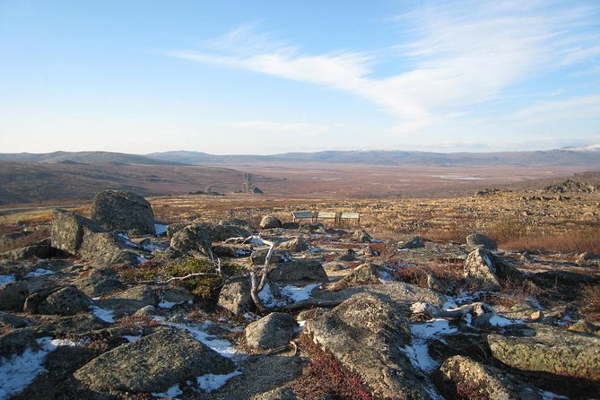 Original Arctic Circle Drive From Fairbanks - Pricing and Fees