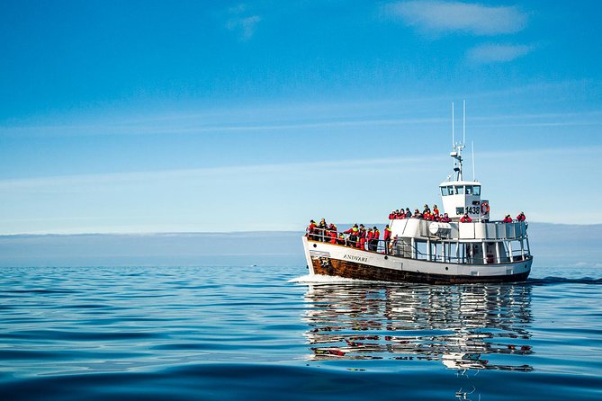 Original Carbon Neutral Whale Watching Tour From Húsavík - Professional Guides and Interpretations