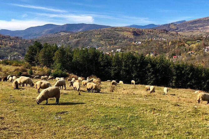 Original Carpathian Village Experience and Sinaia in One Day Tour - Peles Castle Exploration
