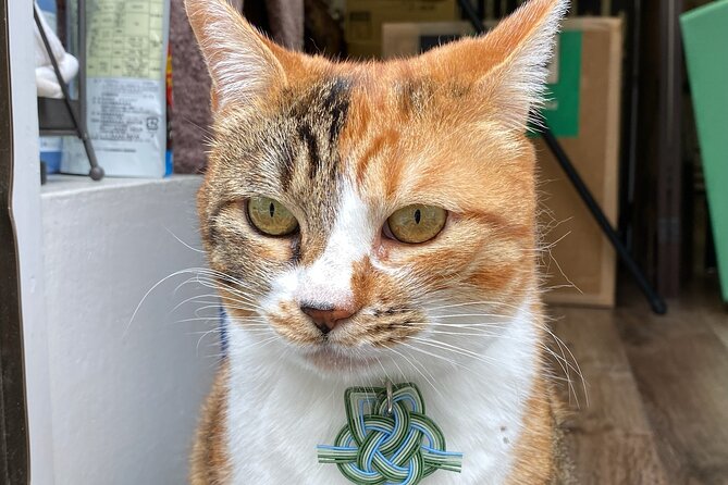 Original Japanese Paper Notebook Private Workshop in Ueno - Group Participation