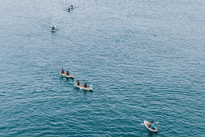 Original La Jolla Sea Cave Kayak Tour for Two - Meeting and Pickup Details
