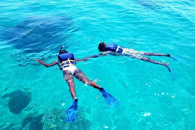 Original Snorkel and Sandbar Combo in Islamorada - Meeting Point and Check-in Instructions