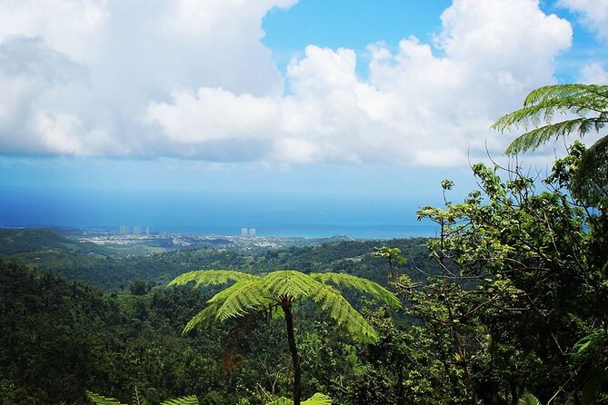 Original Tropical Rainforest and Beach Adventure - Exploring the Tropical Rainforest