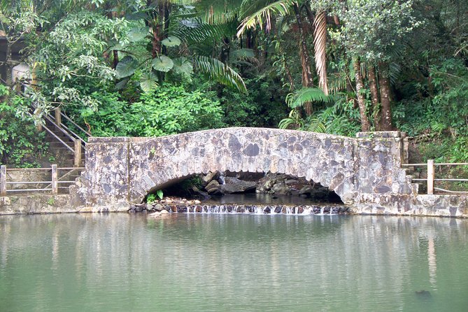 Original Tropical Rainforest and Beach Adventure - Itinerary and Tour Details