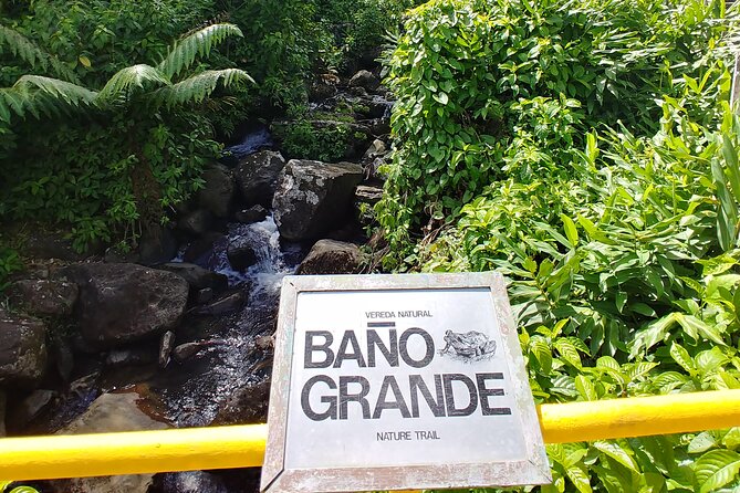 Original Tropical Rainforest and Beach Adventure - Inclusions and Amenities
