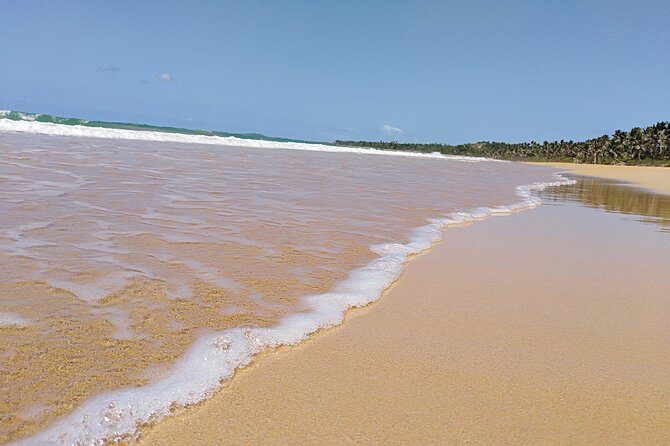 Original Tropical Rainforest and Beach Adventure - Pickup and Drop-off Logistics
