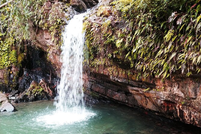 Original Tropical Rainforest and Beach Adventure - Health and Safety Considerations