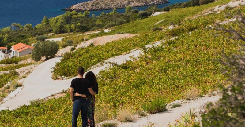 Original Wine Lovers Tour of Peljesac Peninsula - Experience Highlights