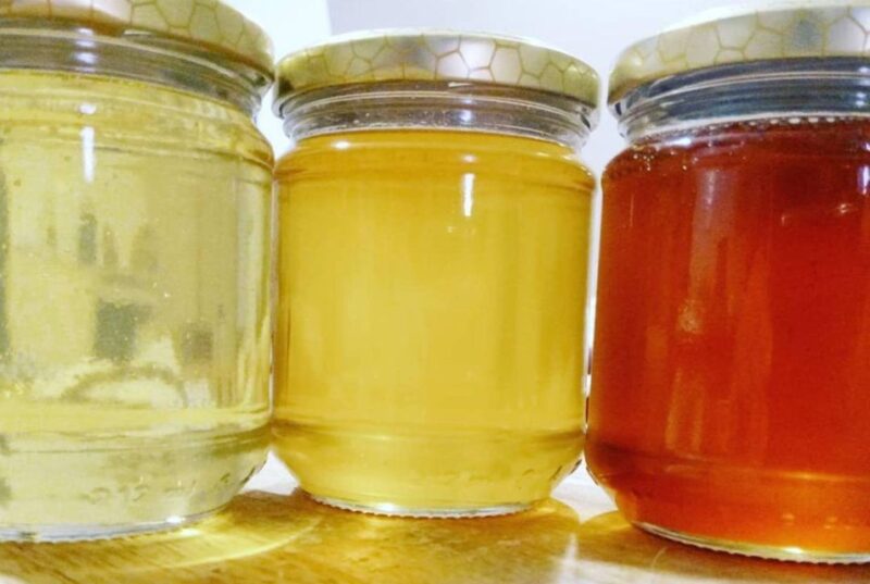 Oristano: Discover the Products of the Beehive - Key Points