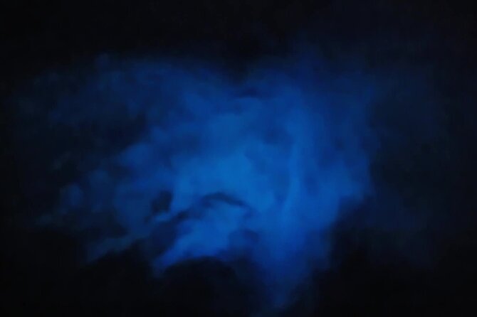 Orlando Bioluminescence Kayak and Swim Adventure - Meeting and End Points