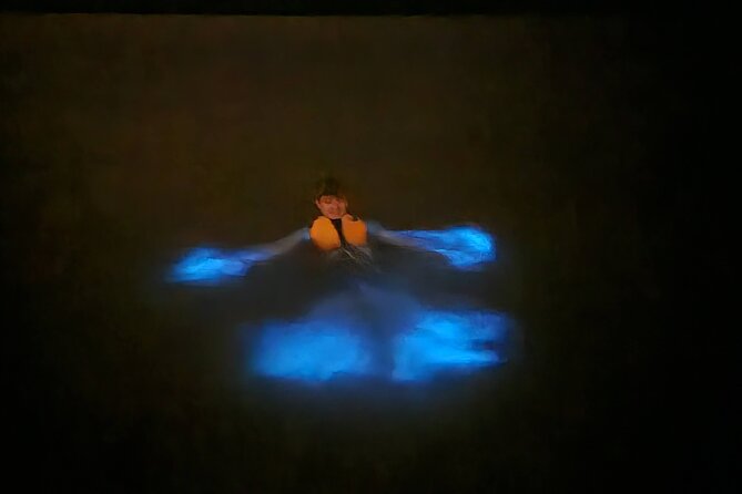 Orlando Bioluminescence Kayak and Swim Adventure - Accessibility