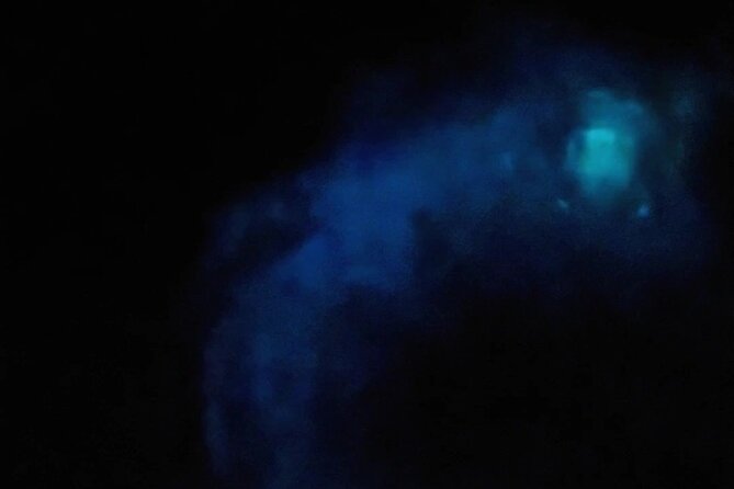 Orlando Bioluminescence Kayak and Swim Adventure - Kayak and Swim Experience