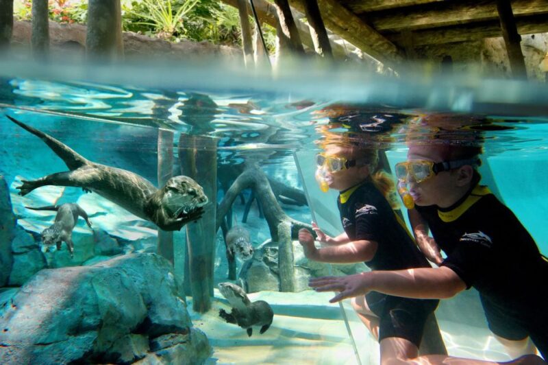 Orlando: Discovery Cove Admission Ticket & Additional Parks - Aquatic and Animal Encounters
