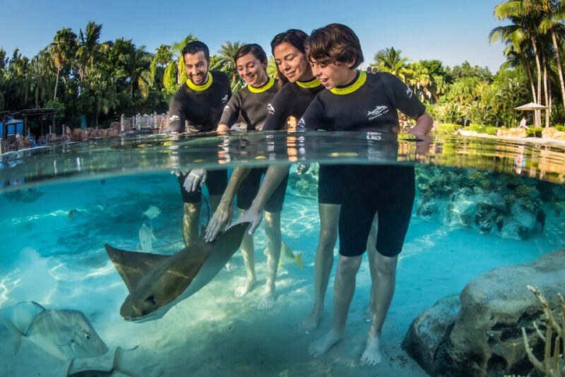 Orlando: Discovery Cove Admission Ticket & Additional Parks - Included Parks and Access
